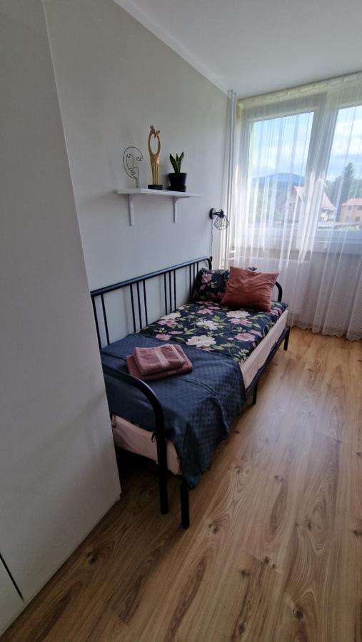 Apartament Spoko-Loko Apartment Stronie Śląskie Exterior foto